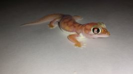 20150331_224223.jpg