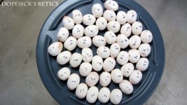 Tink - Eggs (3).jpg