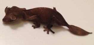 FullSizeRender-28.jpg