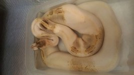 20150321_180337.jpg