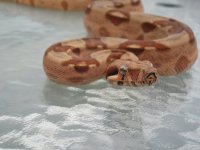 IMG_1941.jpg