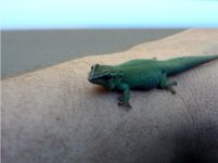 Blue 4.jpg