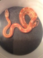 1-6-15 157.jpg