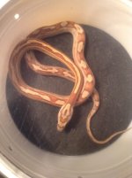 1-6-15 158.jpg