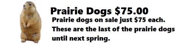 pdogsale.jpg
