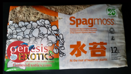 Spag Moss NewZ.png