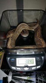 IMG_23933066682665.jpeg