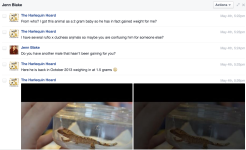 Screen shot 2015-05-05 at 2.51.05 PM.png