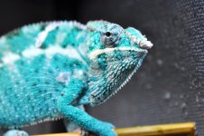 DSC_0174.jpg