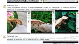 Screen shot 2015-05-05 at 8.28.38 PM.jpg