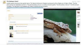 Screen shot 2015-05-05 at 8.28.46 PM.png