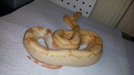 20150517_201743.jpg