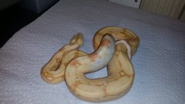 20150517_201730.jpg