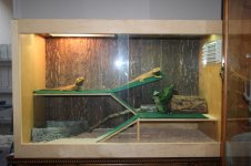 IMG_8539.jpg