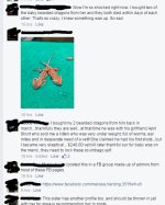 fb 2.jpg