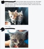 fb 3.jpg
