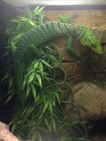 IMG_1123.jpg