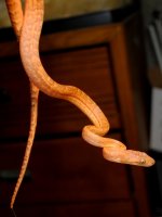 DSC_0h6040.jpg
