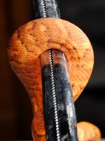 DSC_0h6027.JPG