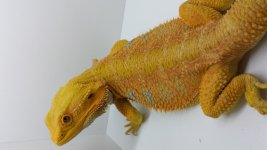 20140723_185118.jpg