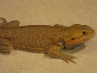 IMG_2101.jpg