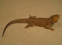 IMG_2102.jpg