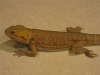 IMG_2103.jpg