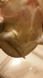 20150406_155922.jpg