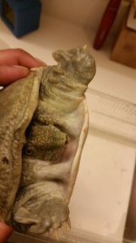 20150406_155918.jpg