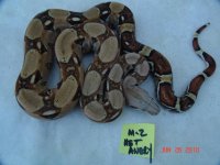 1-27-10039.jpg