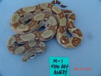 1-27-10023.jpg