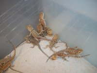 023babies2.jpg