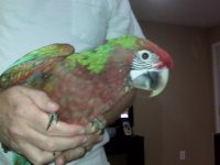 IMG00236.jpg