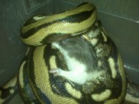 IMG00390.jpeg