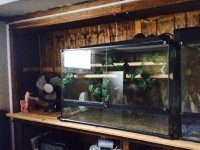 gtp tank big.jpg