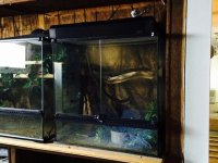 gtp tank small.jpg