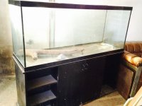tank 125 gallon.jpg