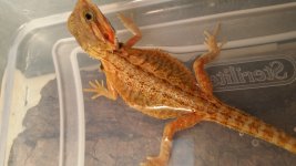 20150220_143841.jpg
