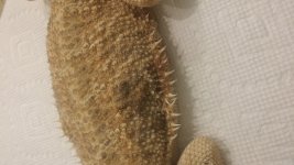 20150705_143429.jpg