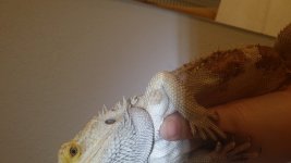 20150705_143637.jpg