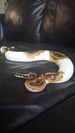 20150326_100802.jpg