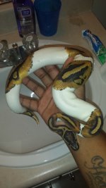 20150319_215207.jpg