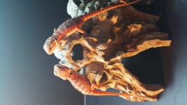 20150705_143926.jpg