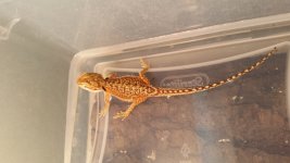 20150220_165617.jpg