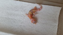 20150622_141937.jpg