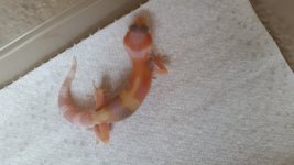 20150622_141941.jpg