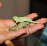 IMG_4332.jpg
