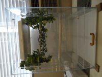 DSC00639.JPG