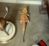DSCN5110.JPG