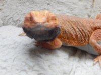 DSCN5114.JPG